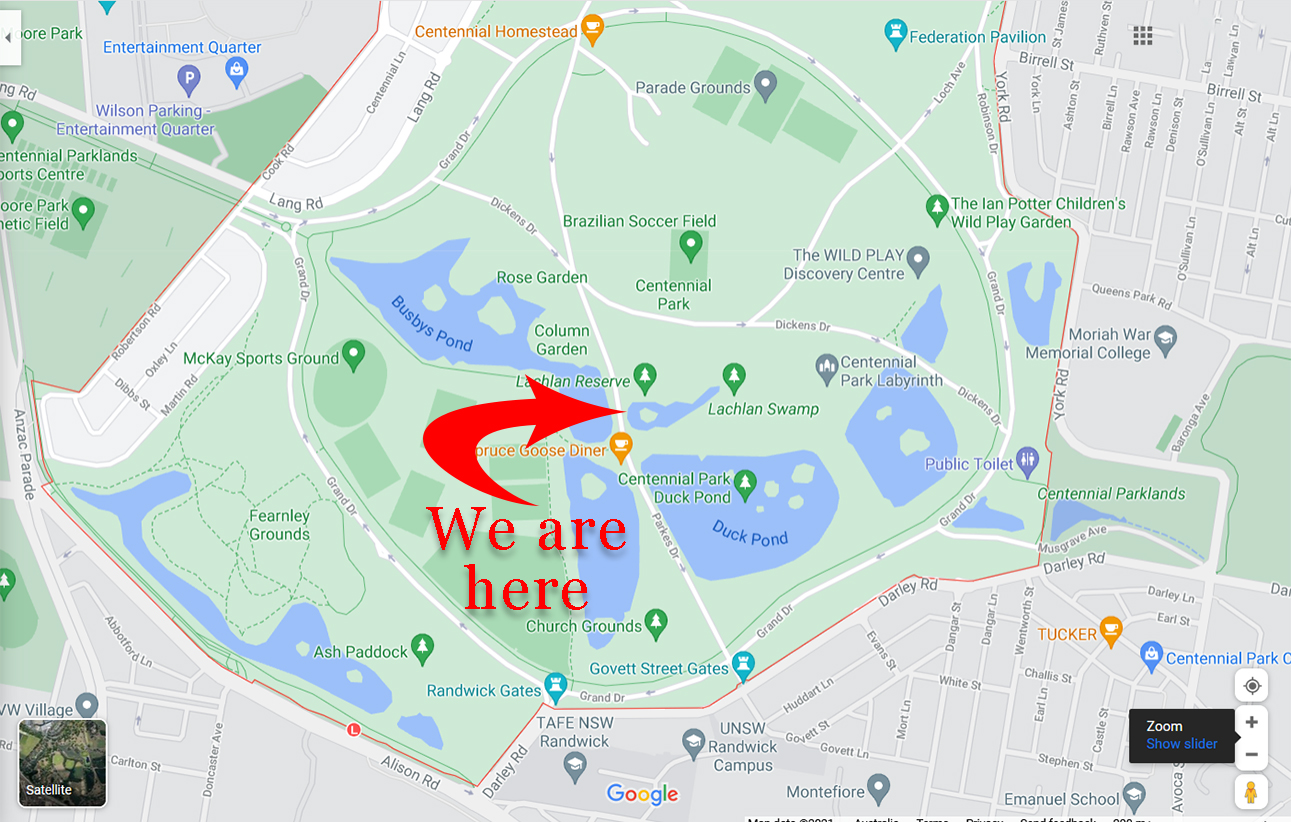 Lilypond map